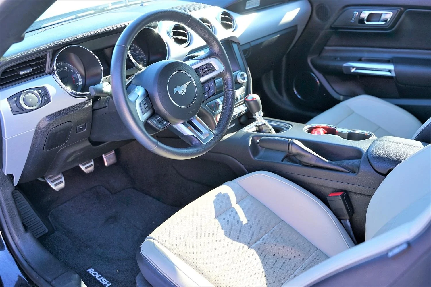 New Shifter.webp