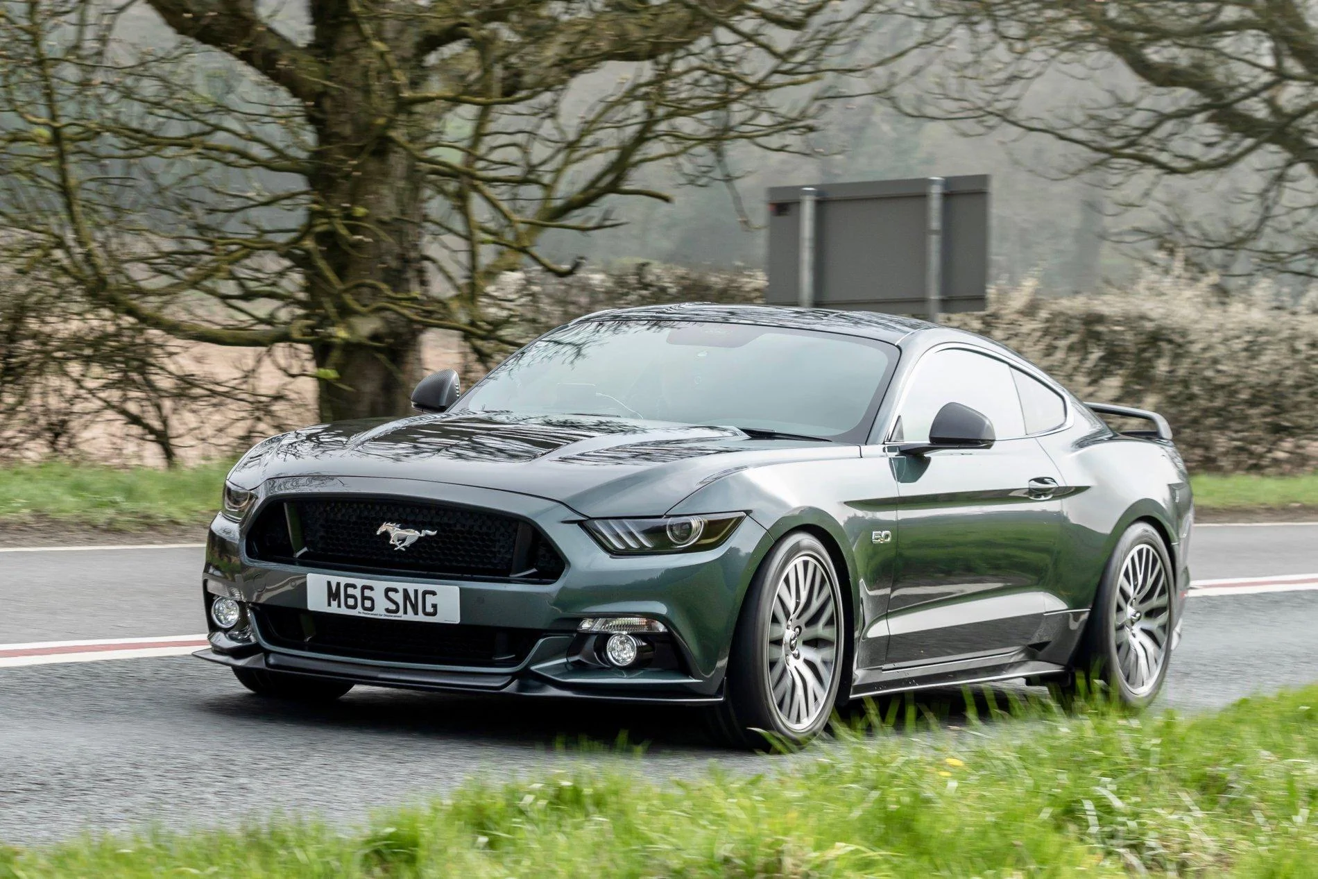 Mustang Bikerpics.webp
