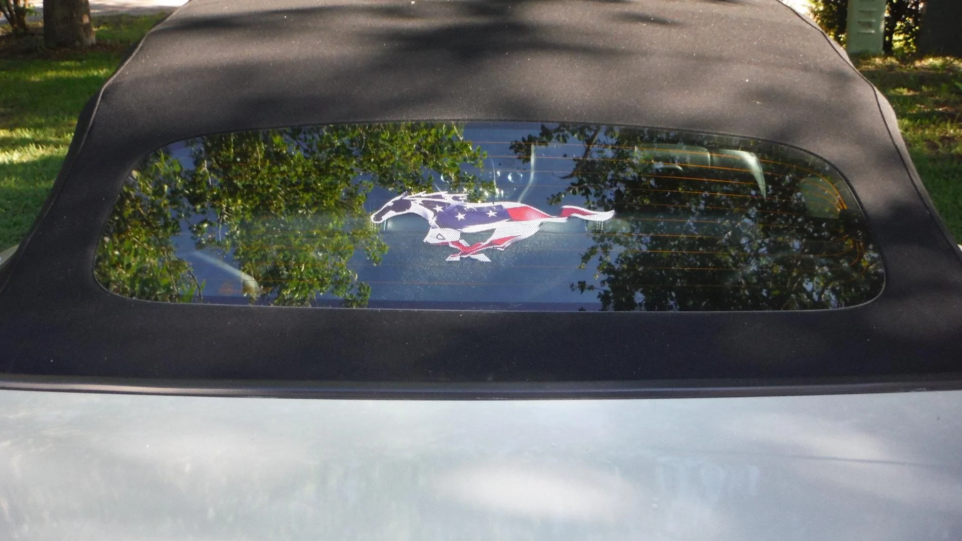 DSCF2250.webp