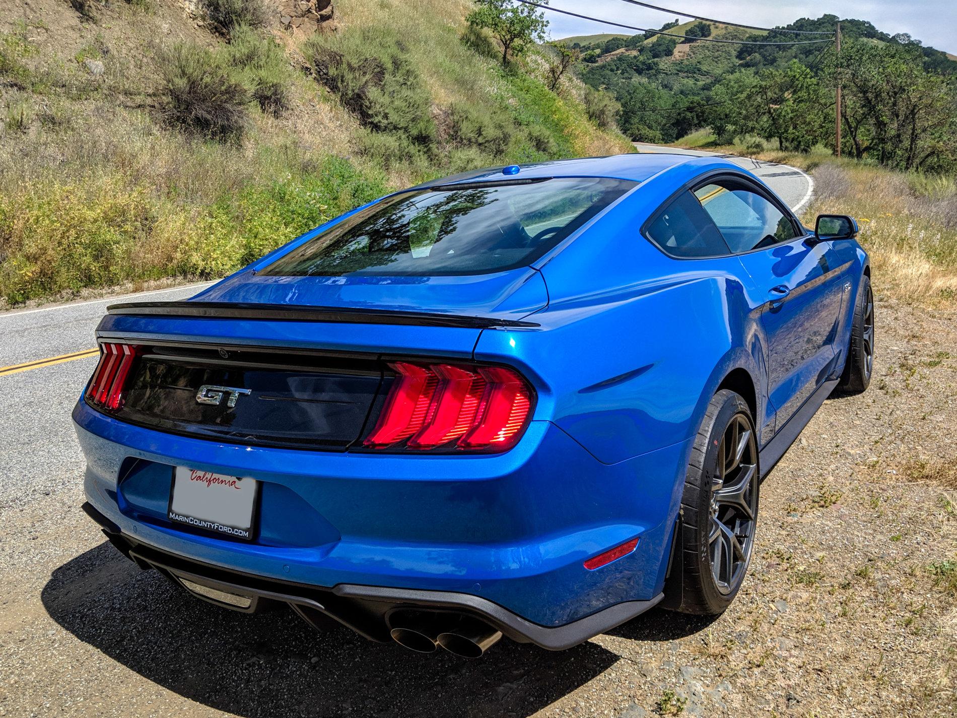 MVIMG_20190427_131241-Edit-Edit.jpg