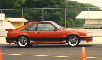 RASaleen1993-1.webp