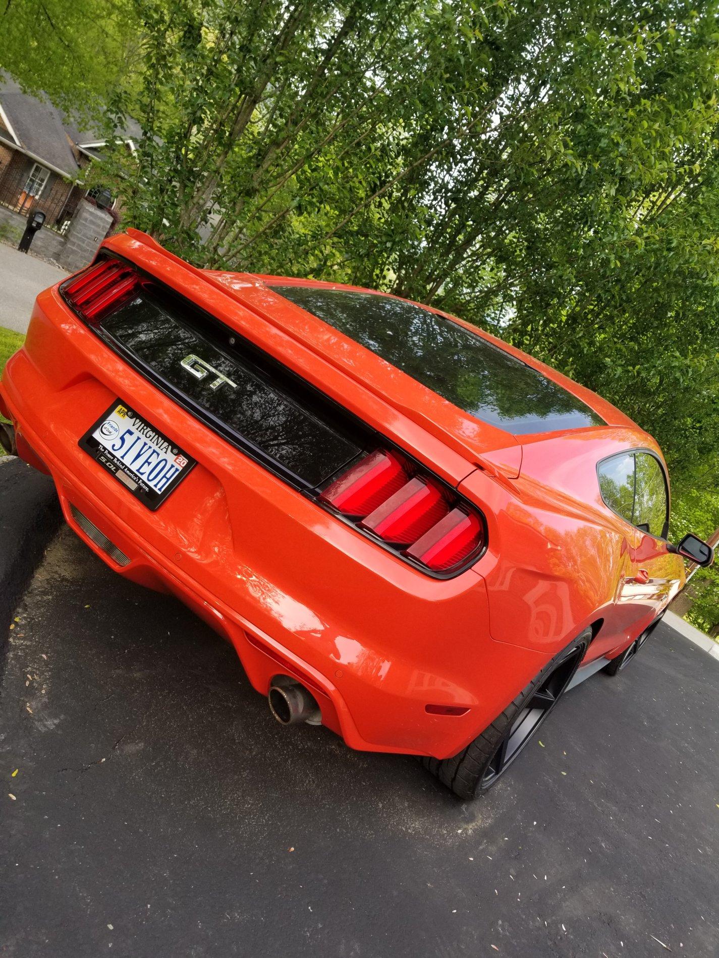 20190429_181843.jpg