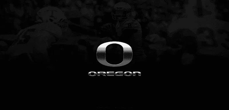 Ducks Silver.webp