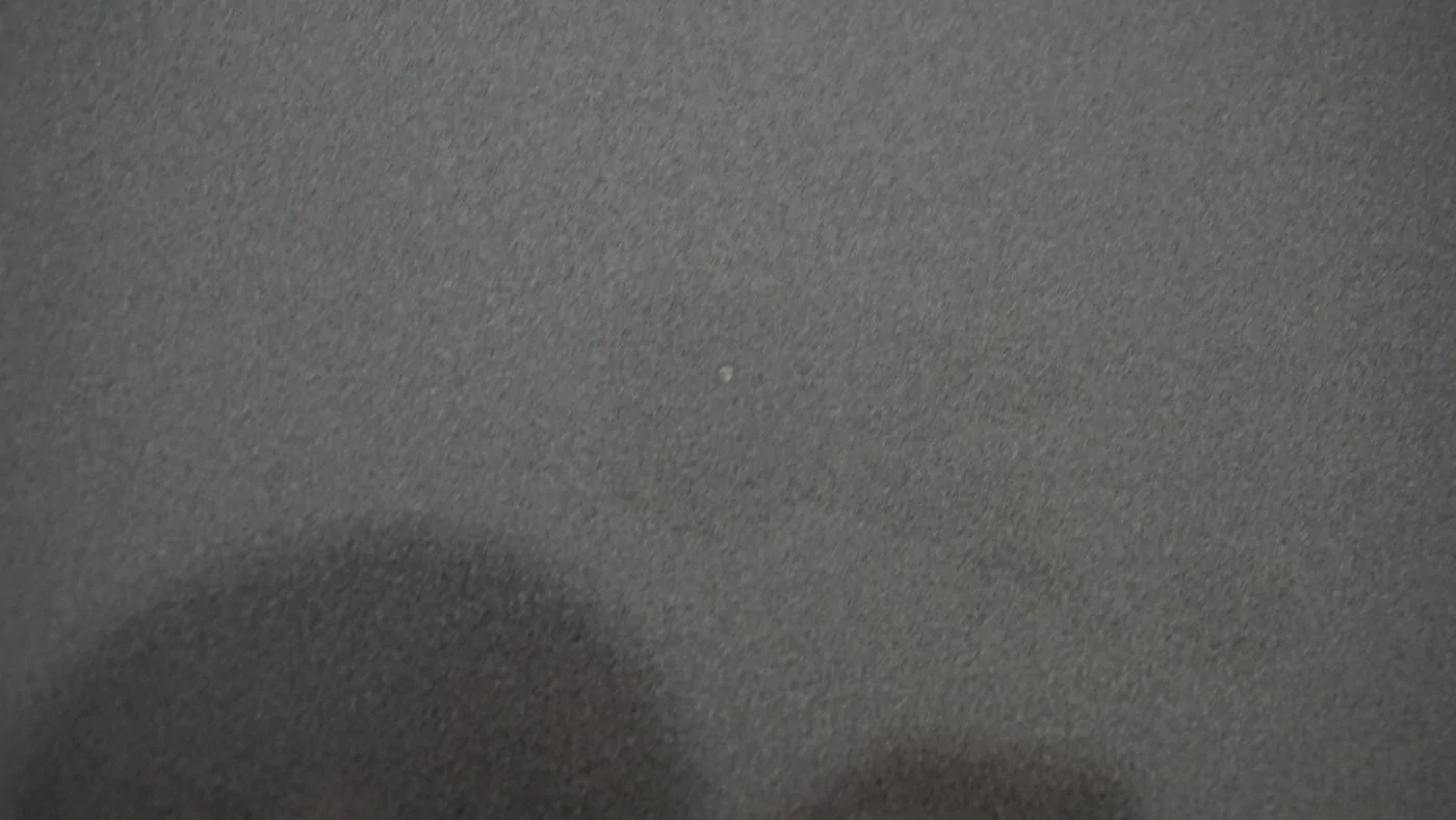 DSC00006.webp