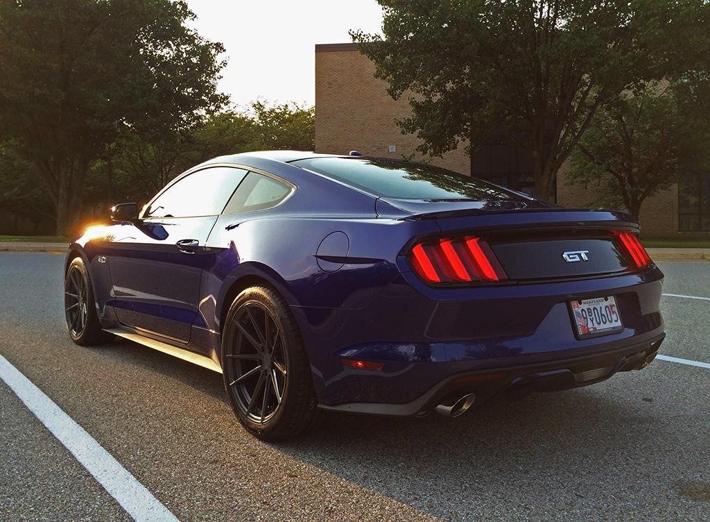 stang.jpg