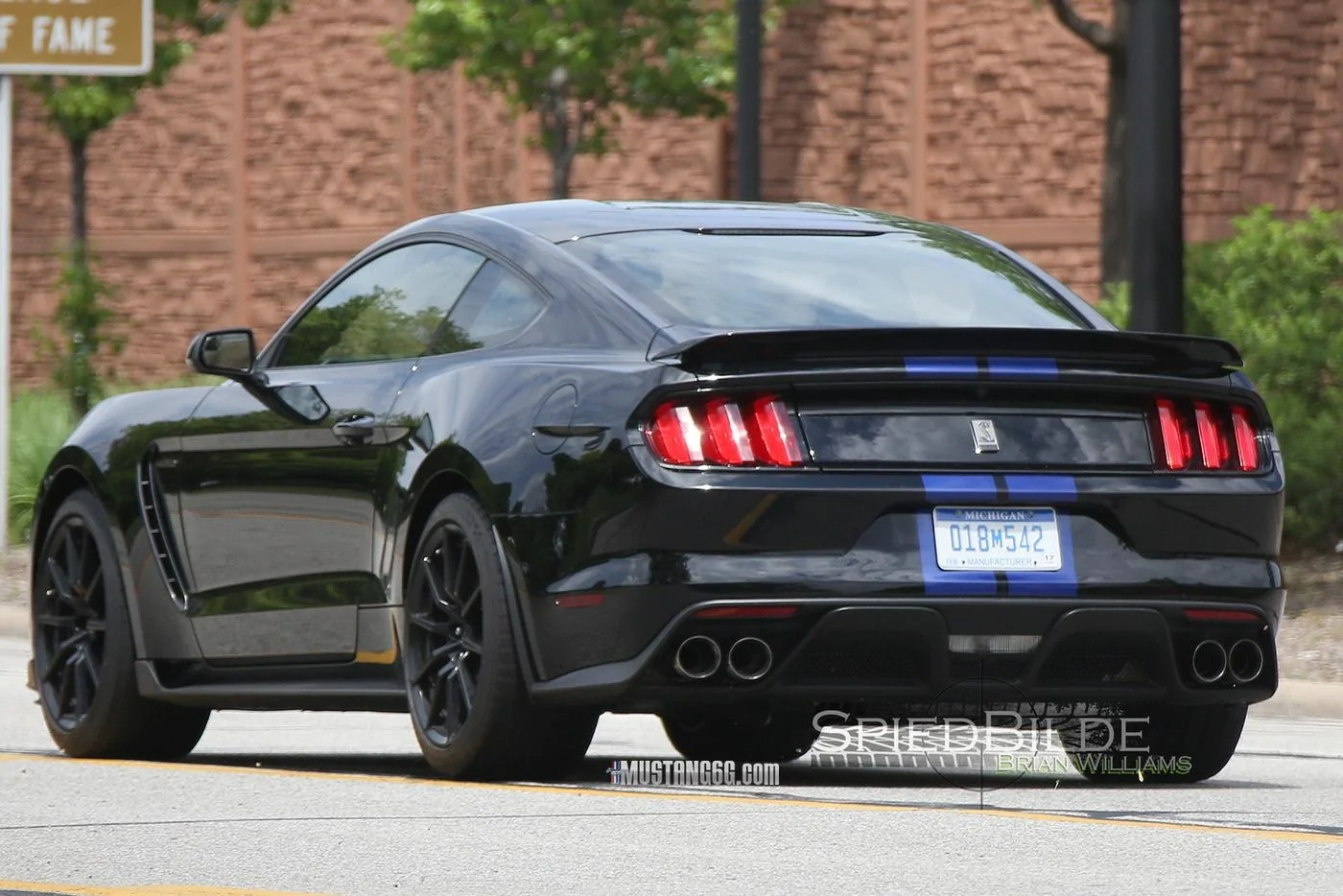 Black Shelby GT350 Mustang-34.webp
