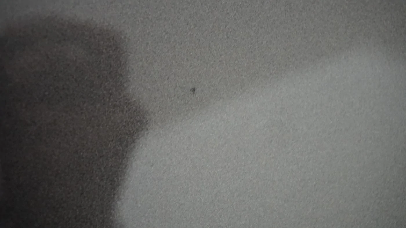 DSC00005.webp