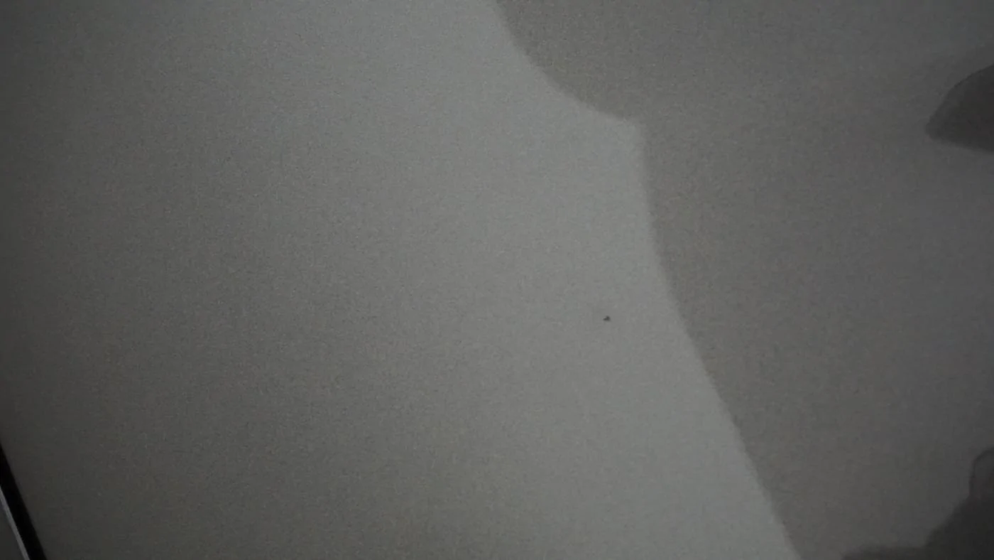 DSC00007.webp