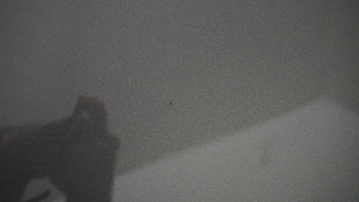 DSC00008.webp