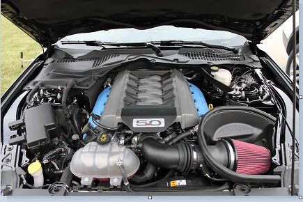 r1.webp