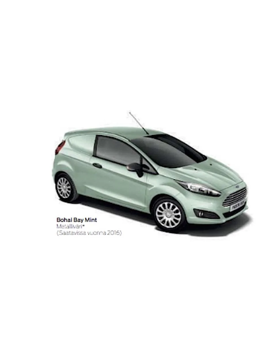 Bohai Bay Mint.webp