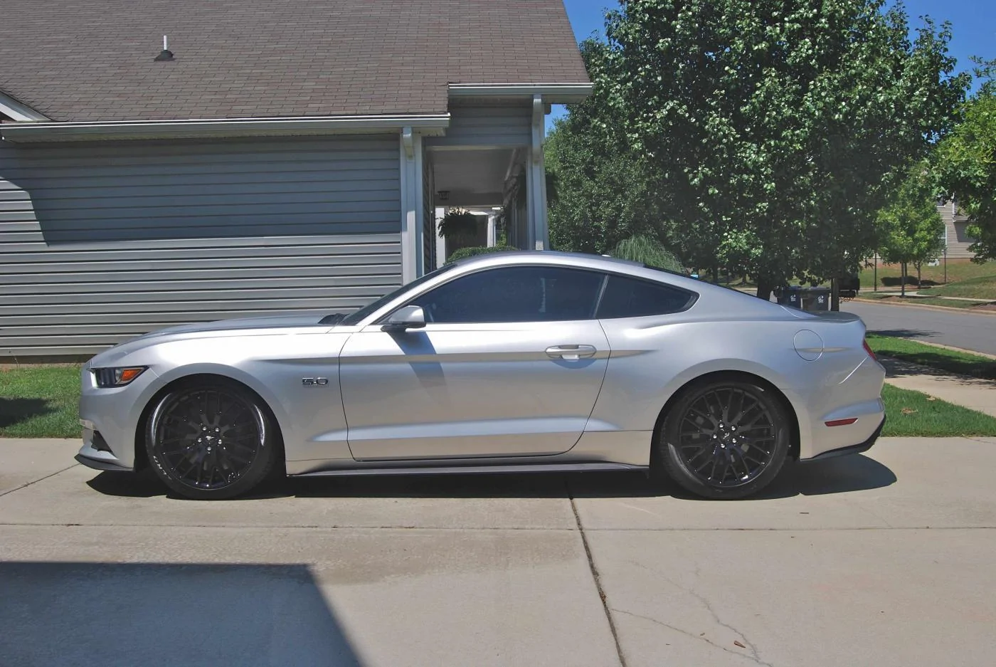 Side shot lowered low quality.webp