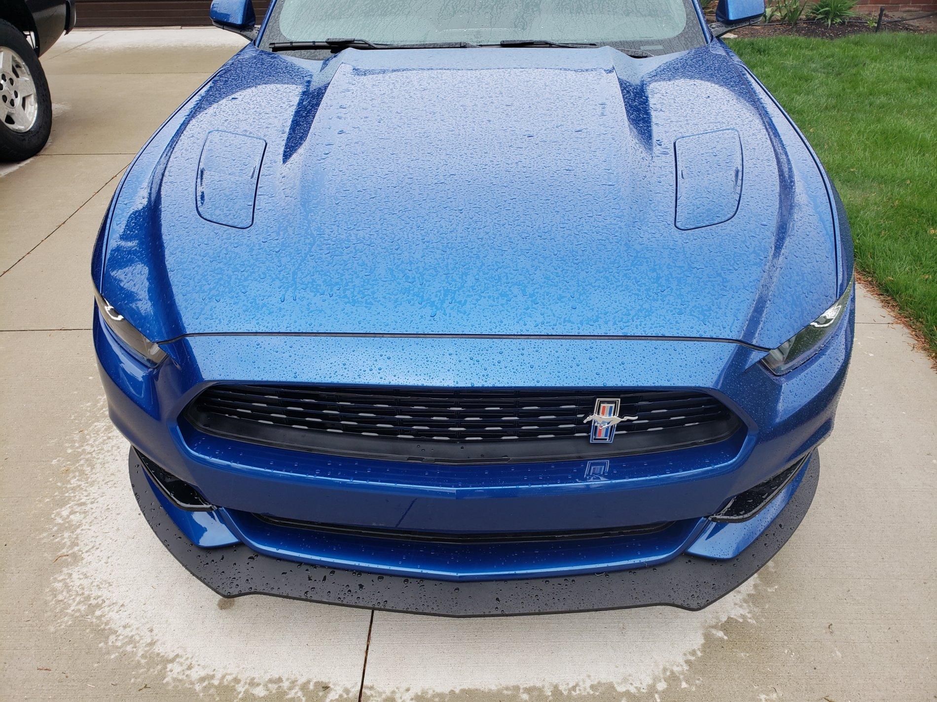 20190429_150332.jpg
