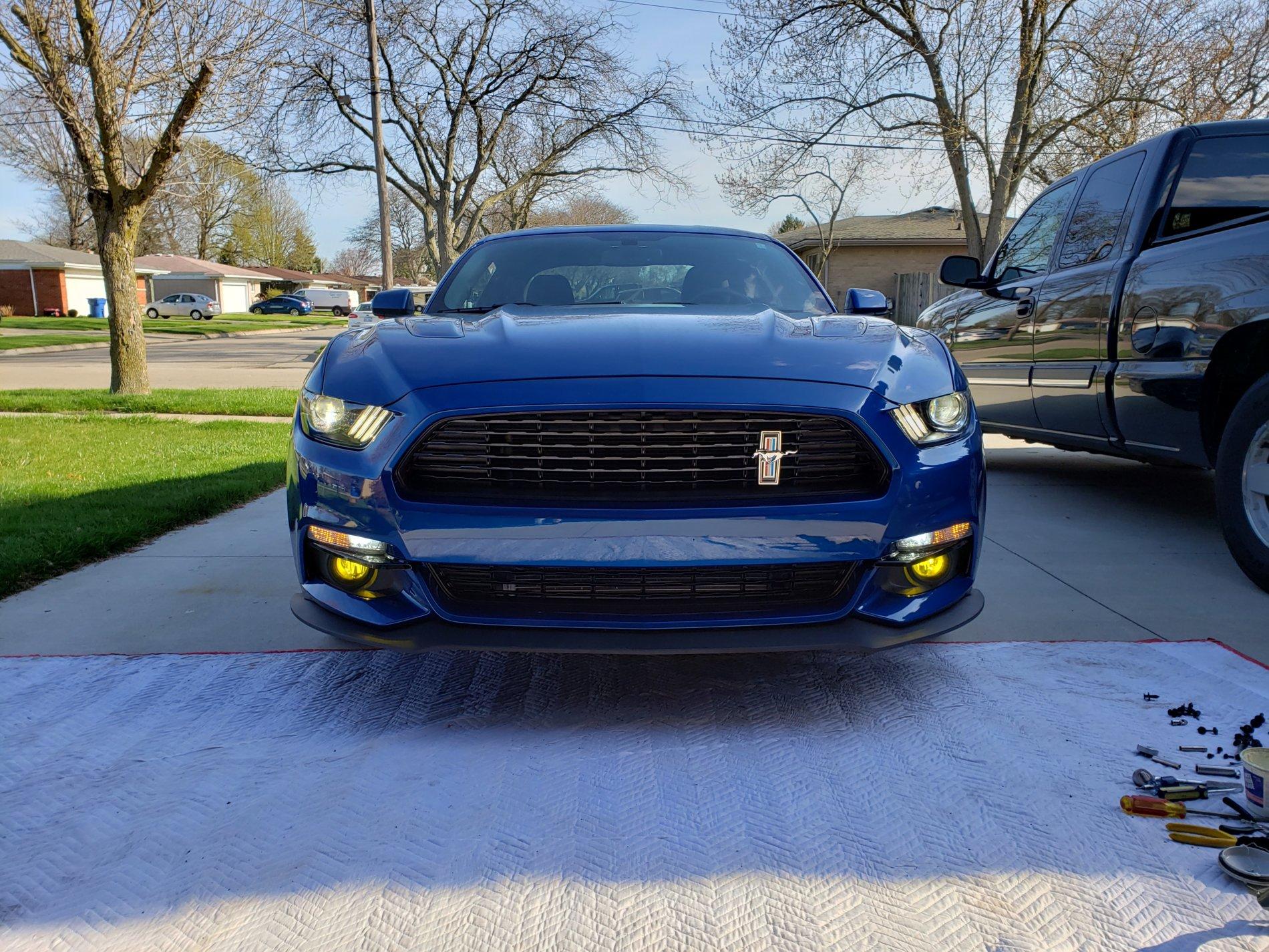 20190428_174703.jpg