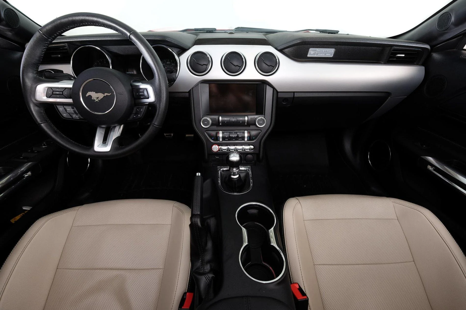 Mustang Picture 6.webp