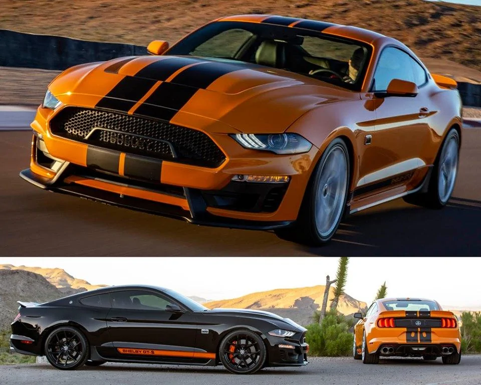 Shelby GT-S 1.webp