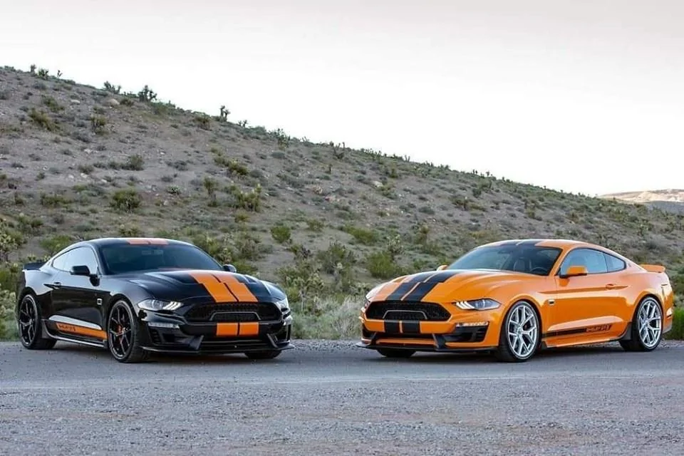 Shelby GT-S 4.webp