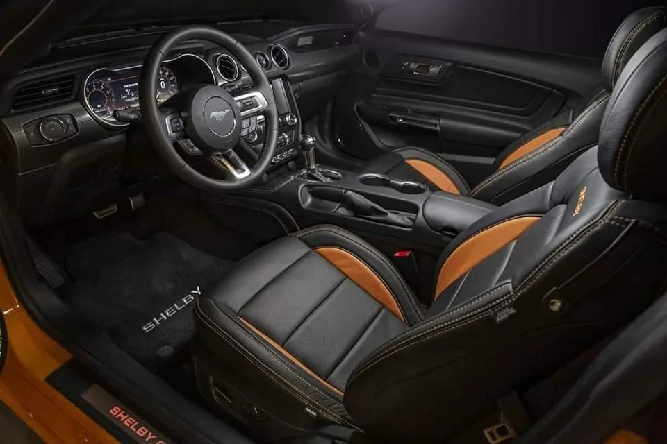 Shelby GT-S 6.webp