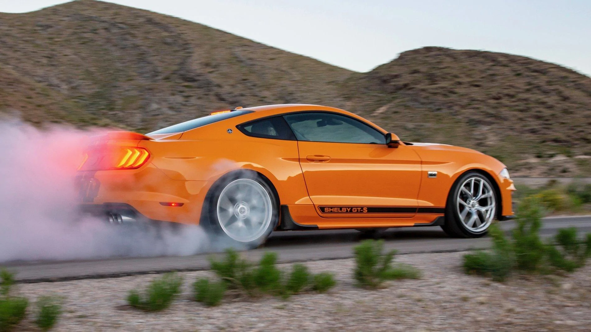 Shelby GT-S 8.webp