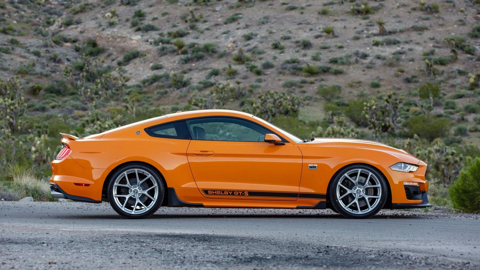Shelby GT-S 9.webp