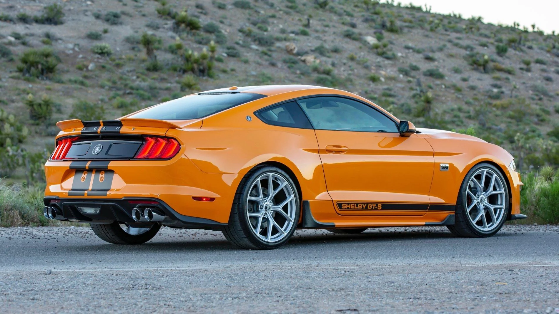 Shelby GT-S 10.webp