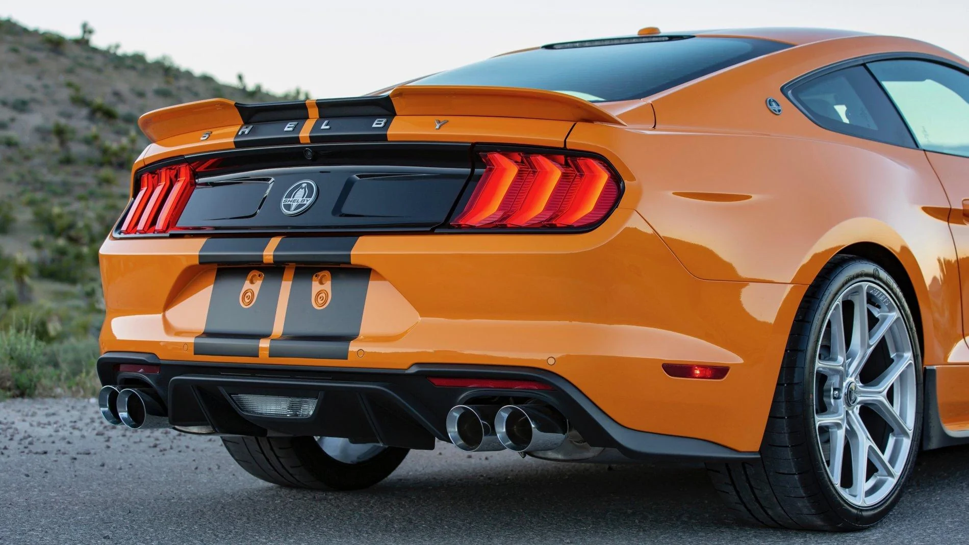 Shelby GT-S 11.webp