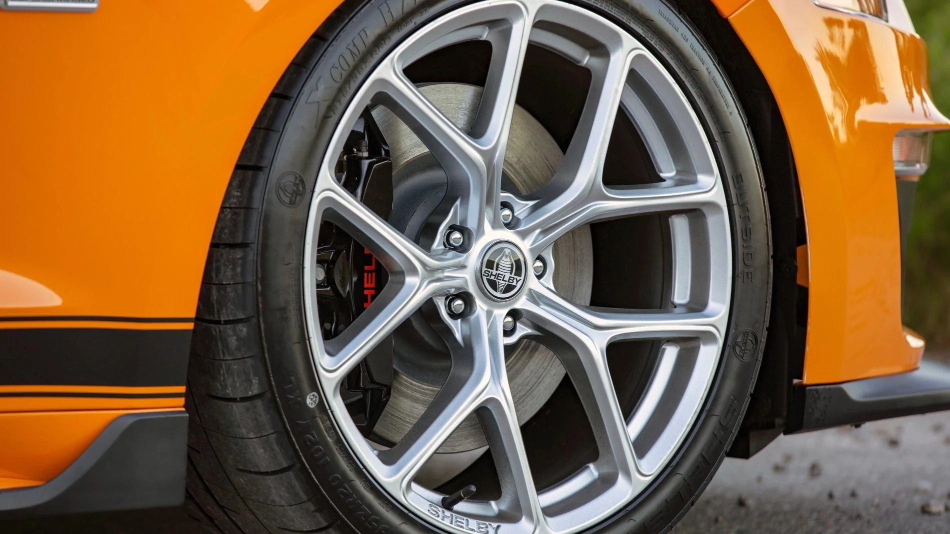 Shelby GT-S 12.webp