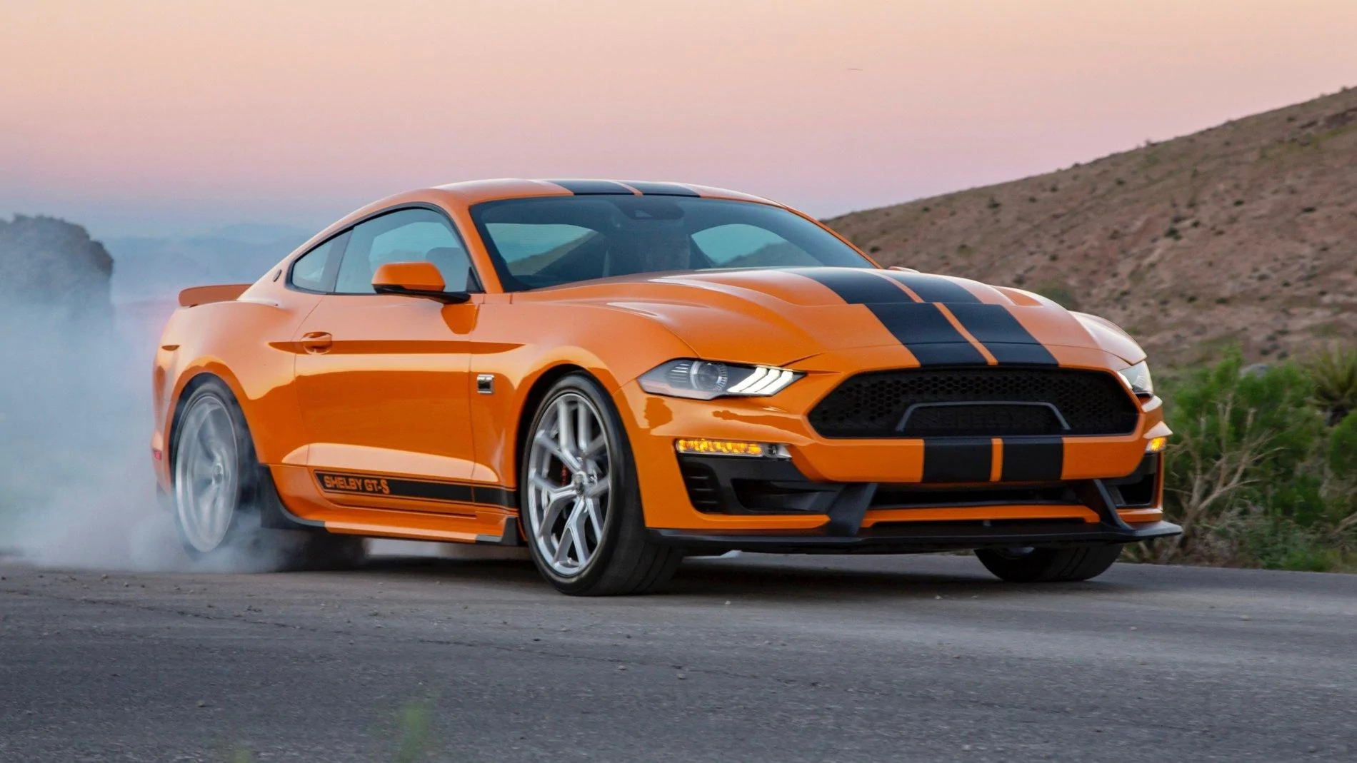 Shelby GT-S 14.webp