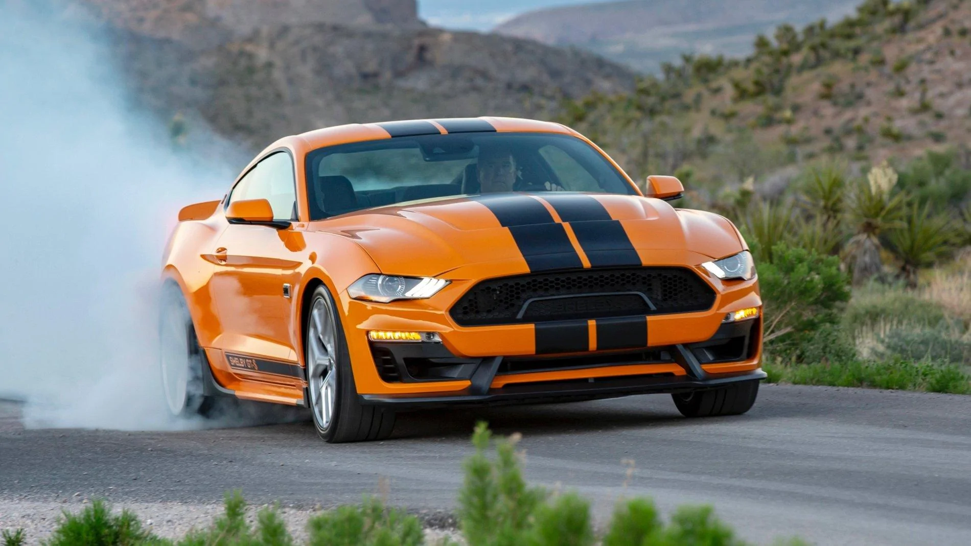 Shelby GT-S 15.webp