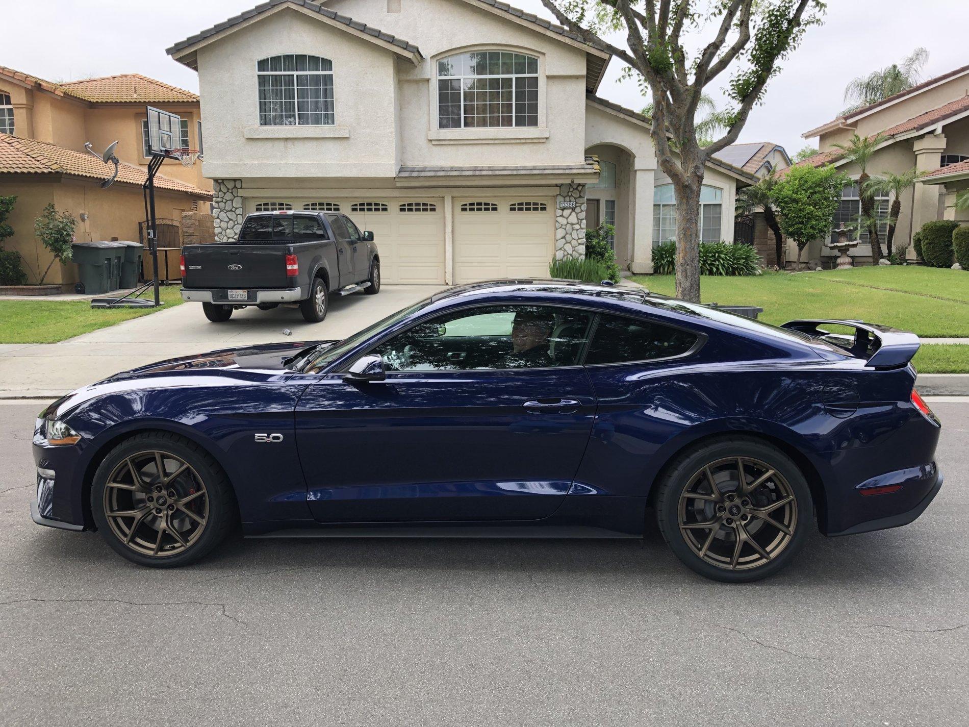 Mustang_GT1.jpg