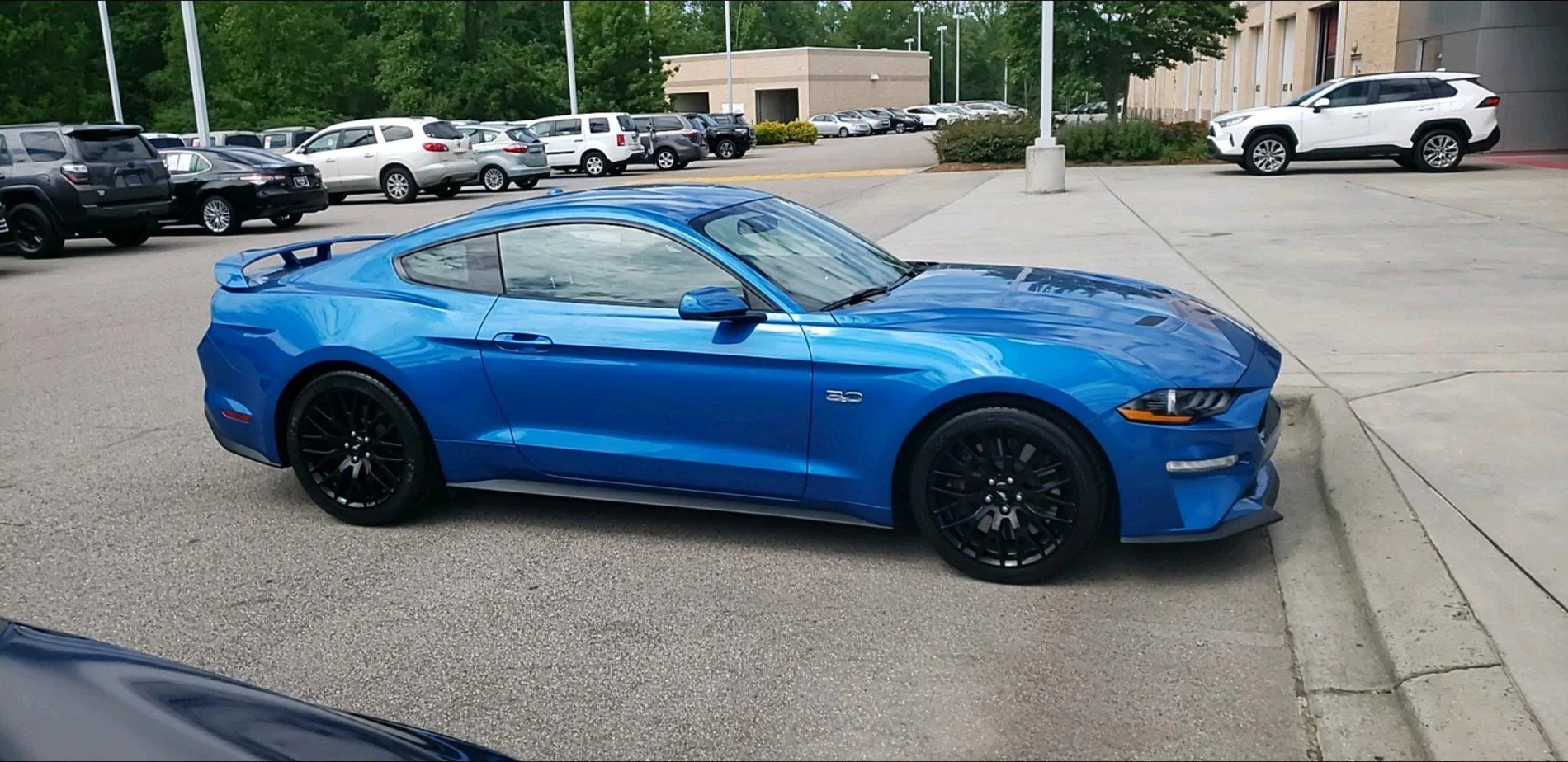 My mustang.webp