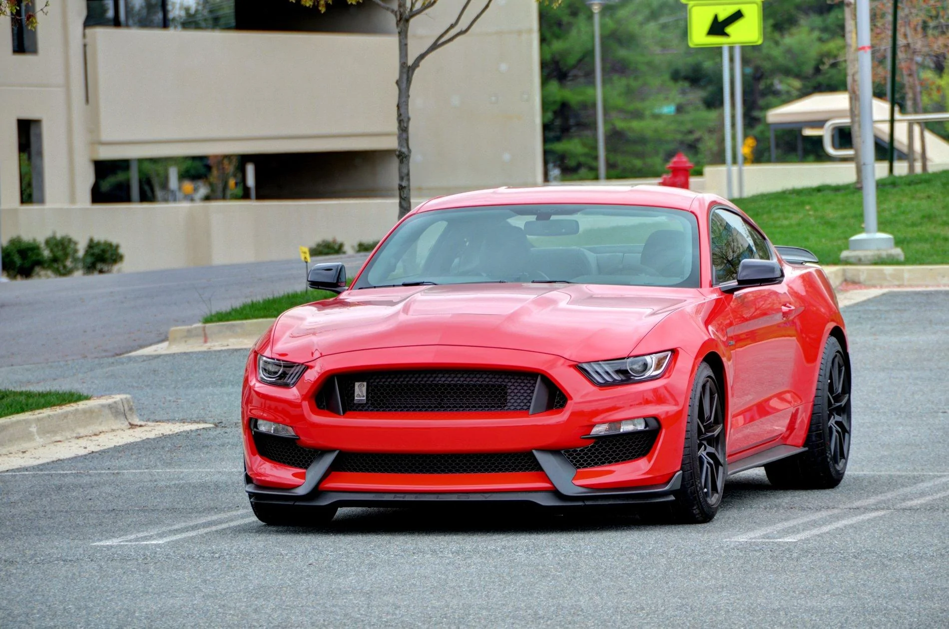 DSC_1835_6_7_fused.webp