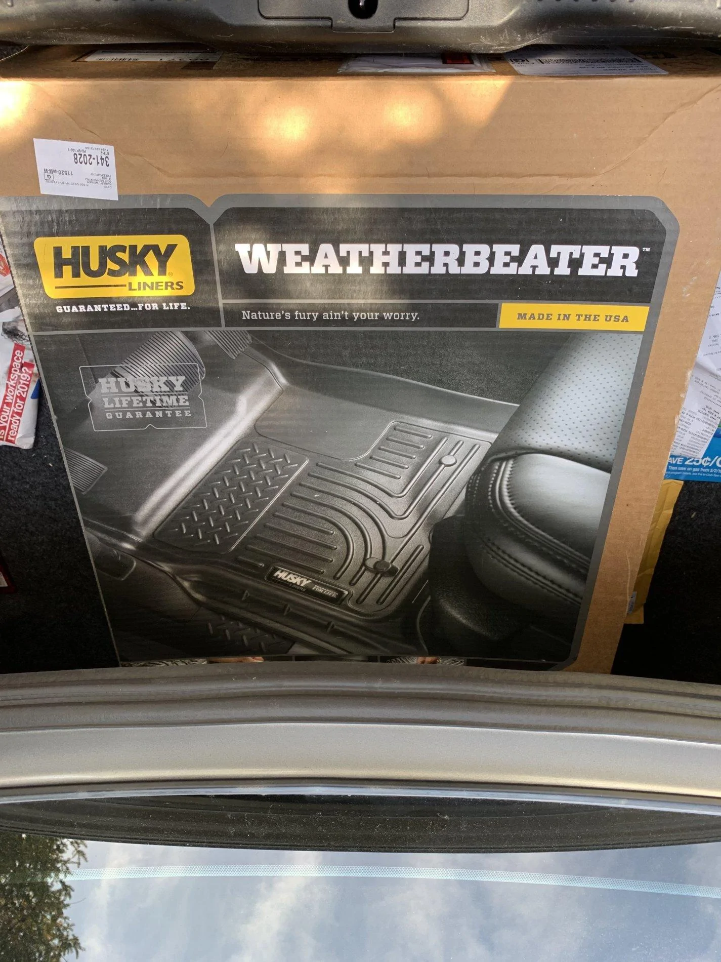 husky.webp