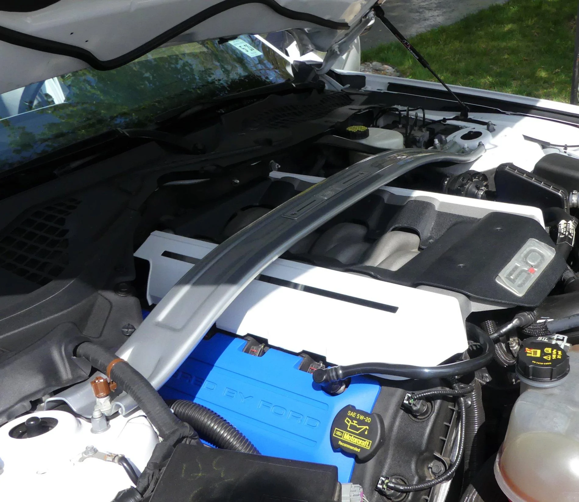 Blue Valve Covers.webp