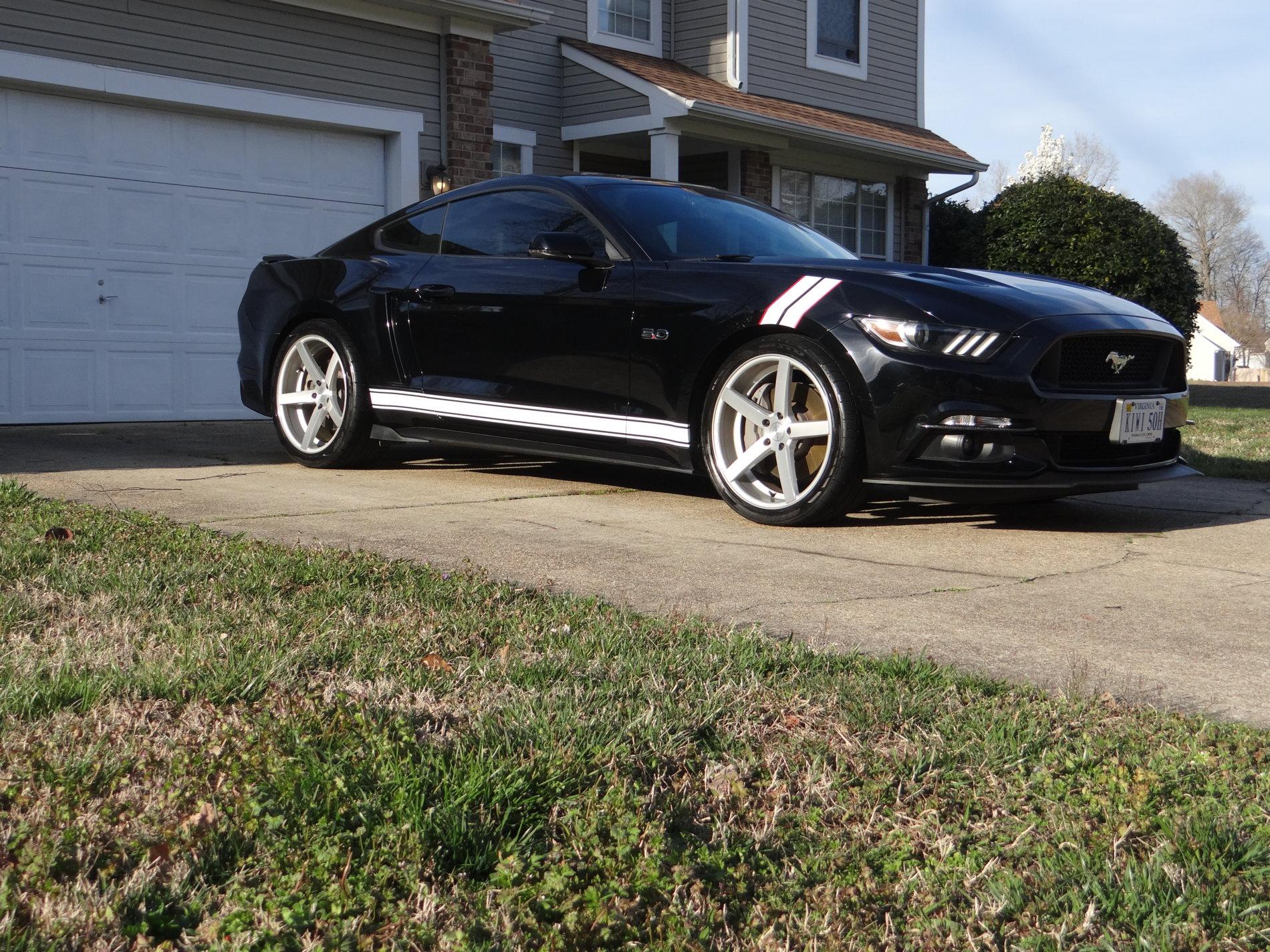 Mustang9.JPG