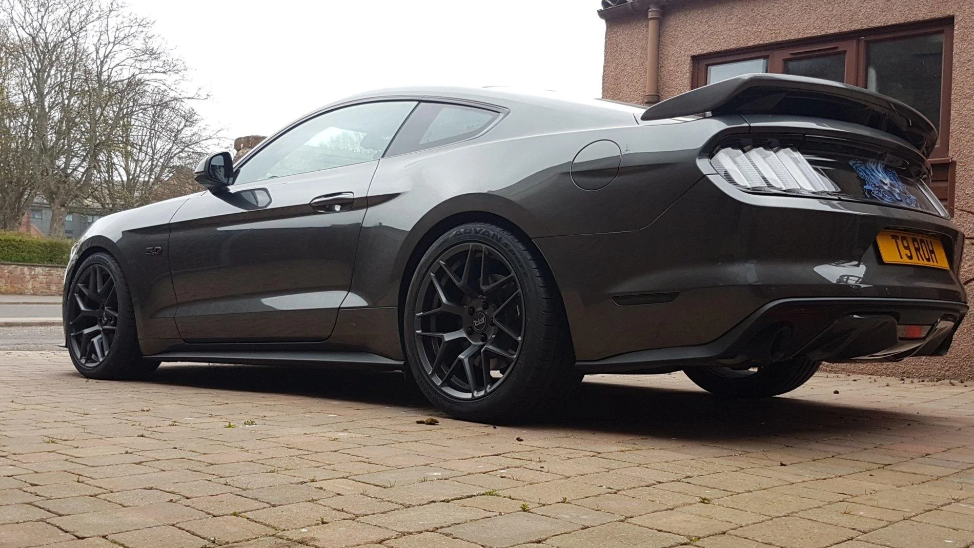 rtr rear.webp