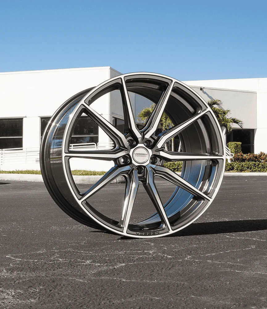 Vossen.webp