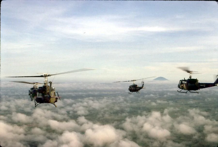 flight 9.webp