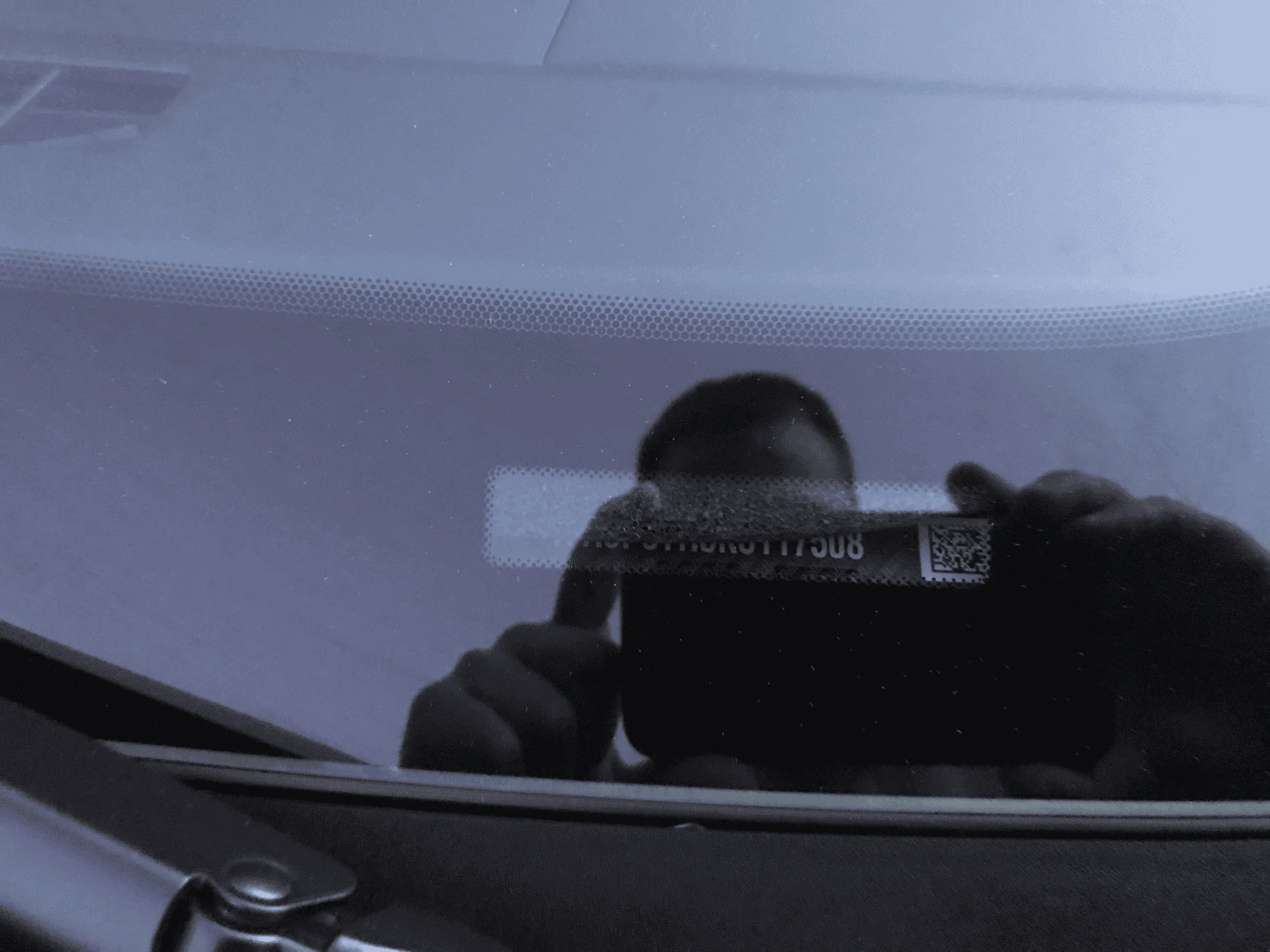Mustang.webp