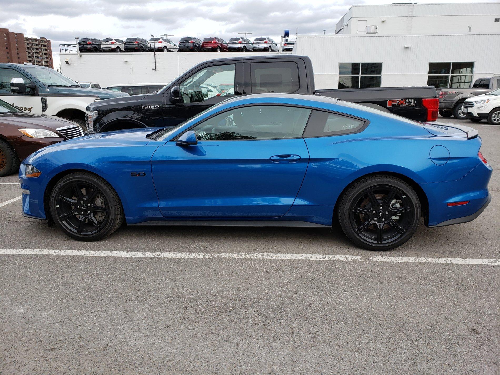 mustang side.jpg