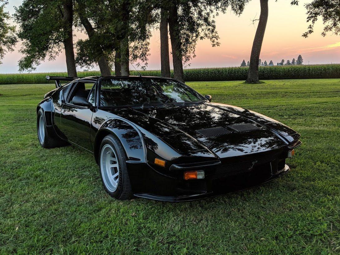 pantera1.jpg