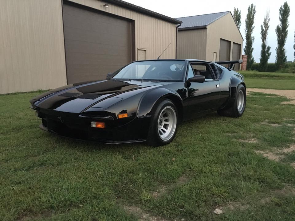 pantera2.jpg