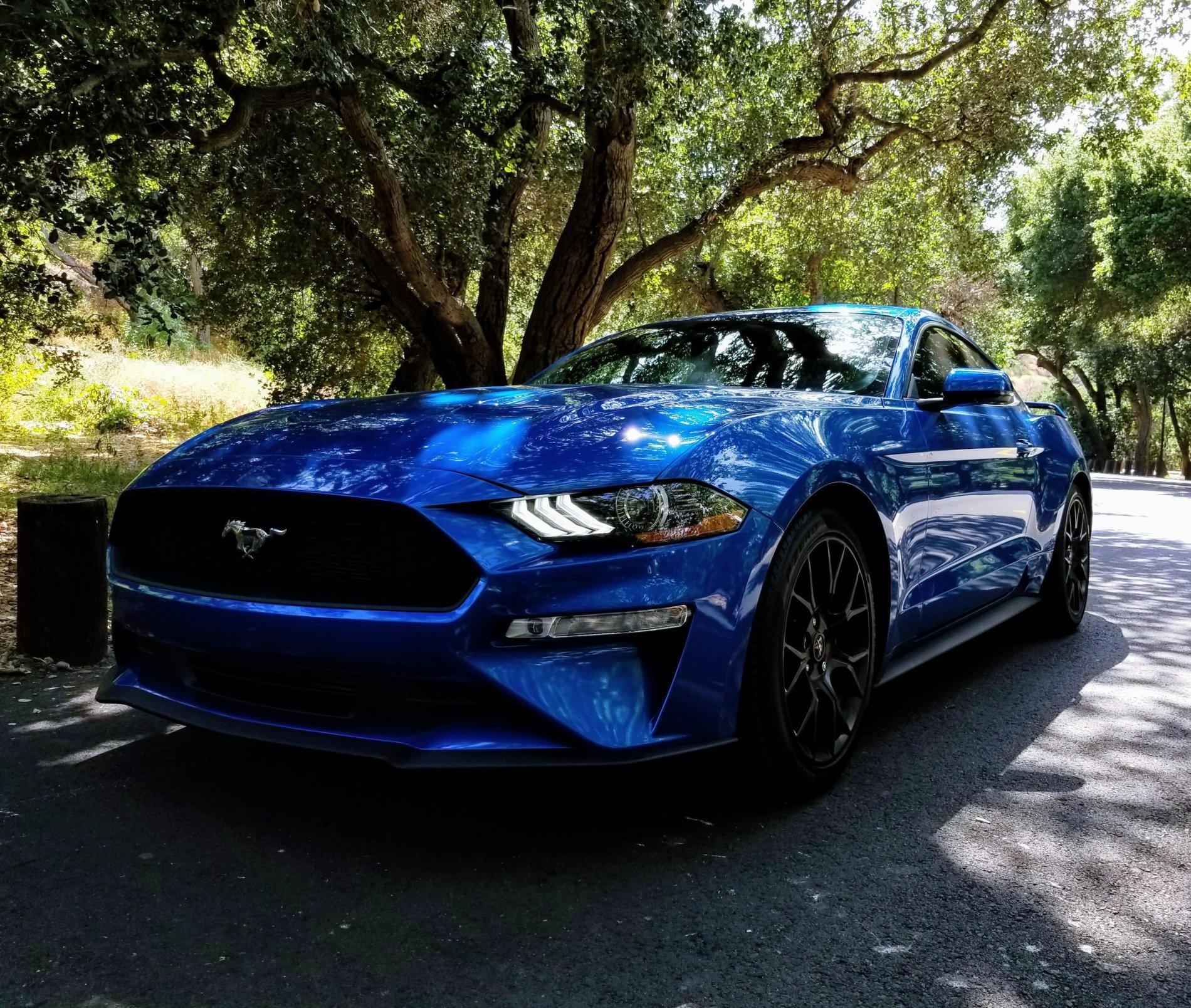 20190511_153506_5.jpg