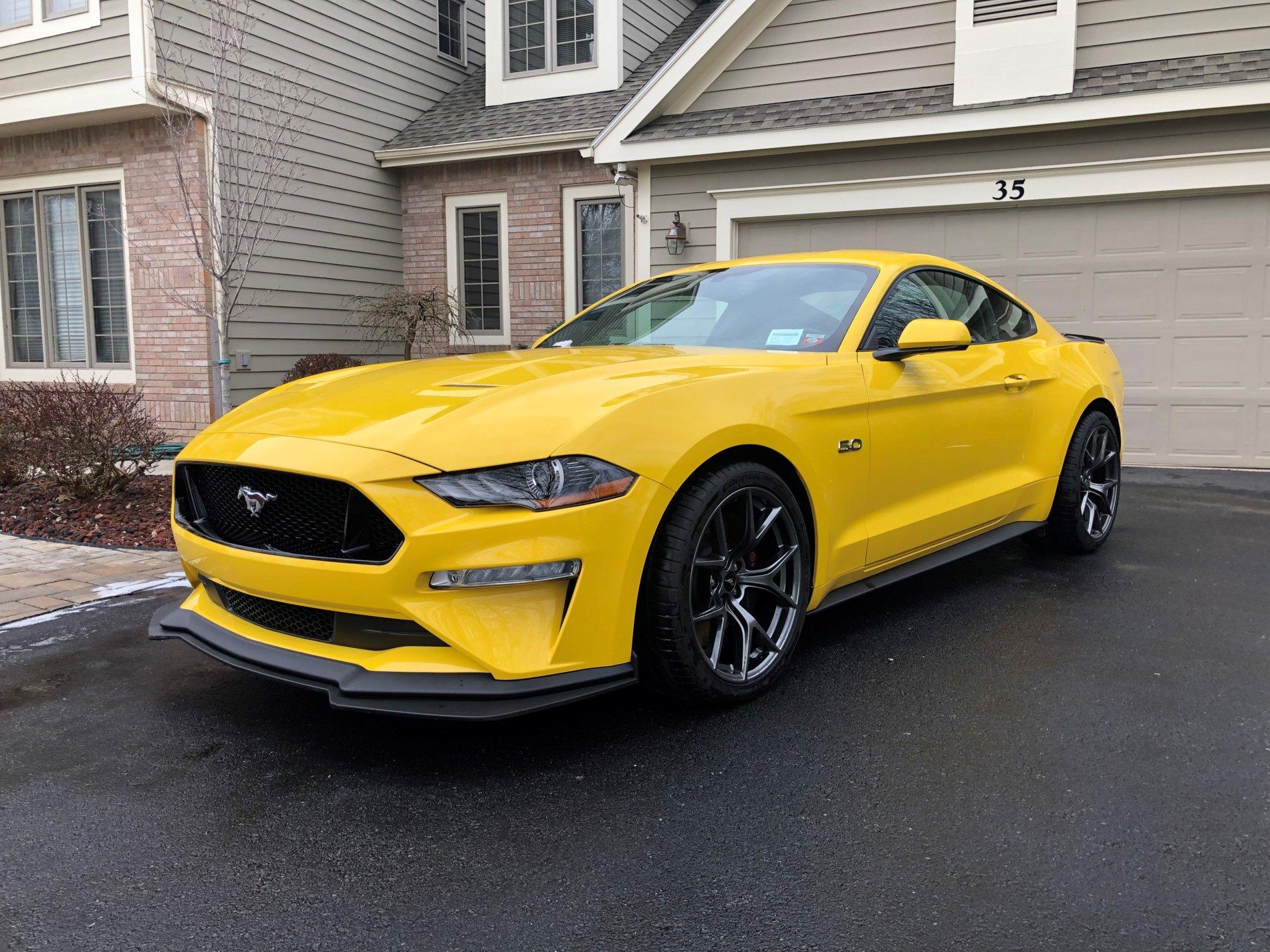 Mustang F.jpg