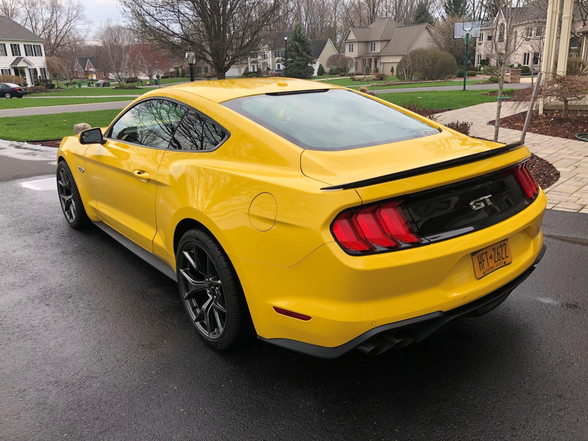 Mustang r.jpg