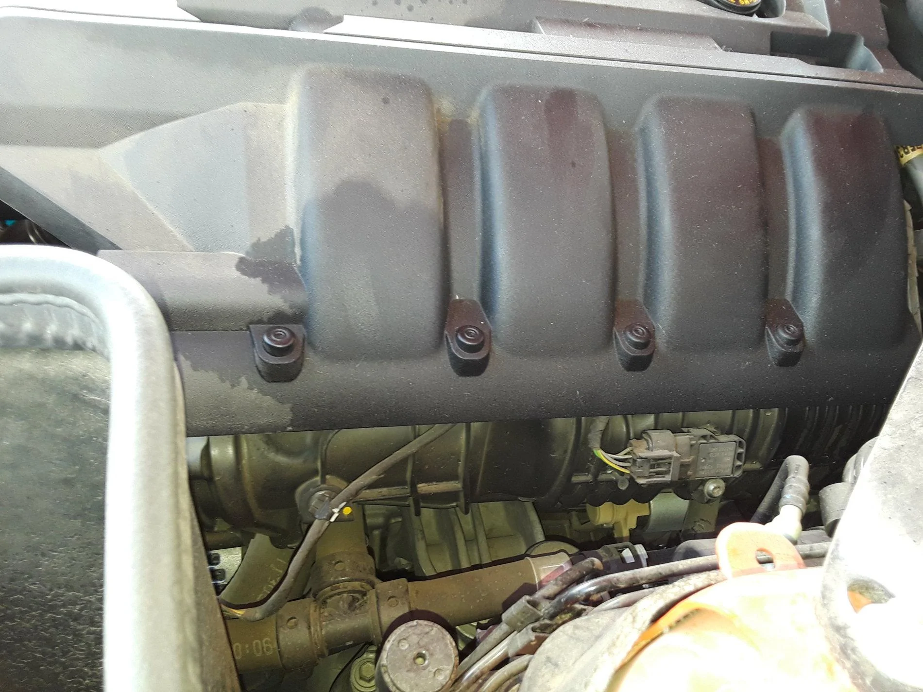 20190517_111753.webp