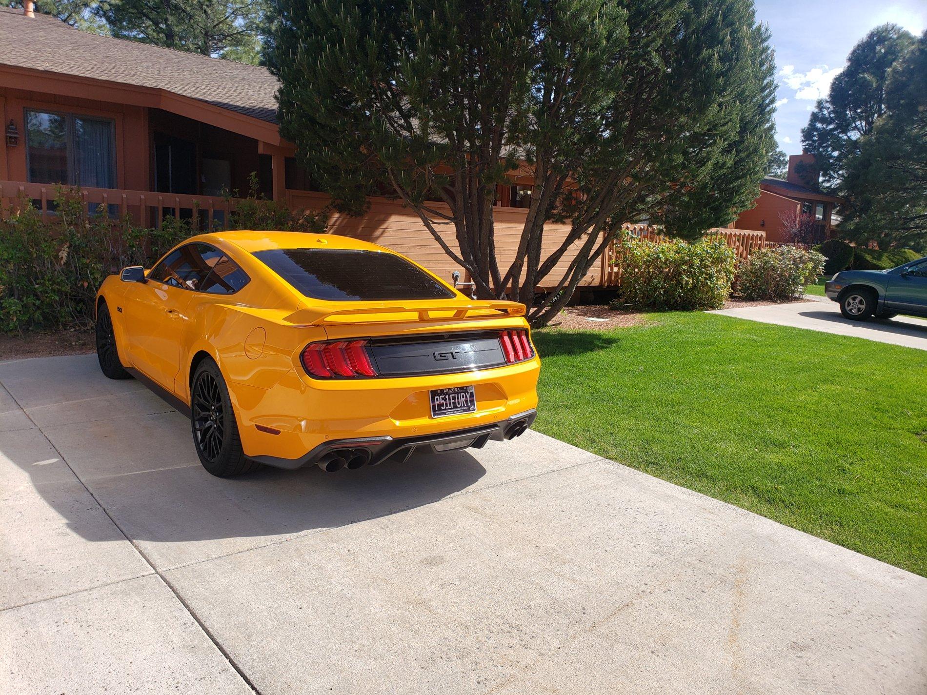 20190518_154159.jpg