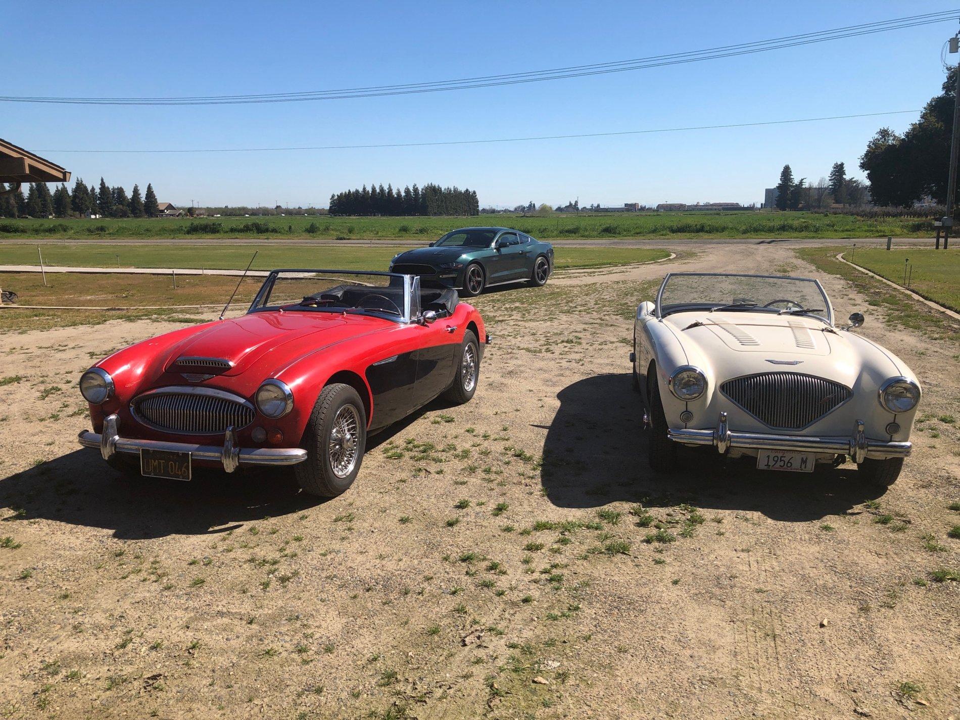 Healeys and Mustangs.JPG