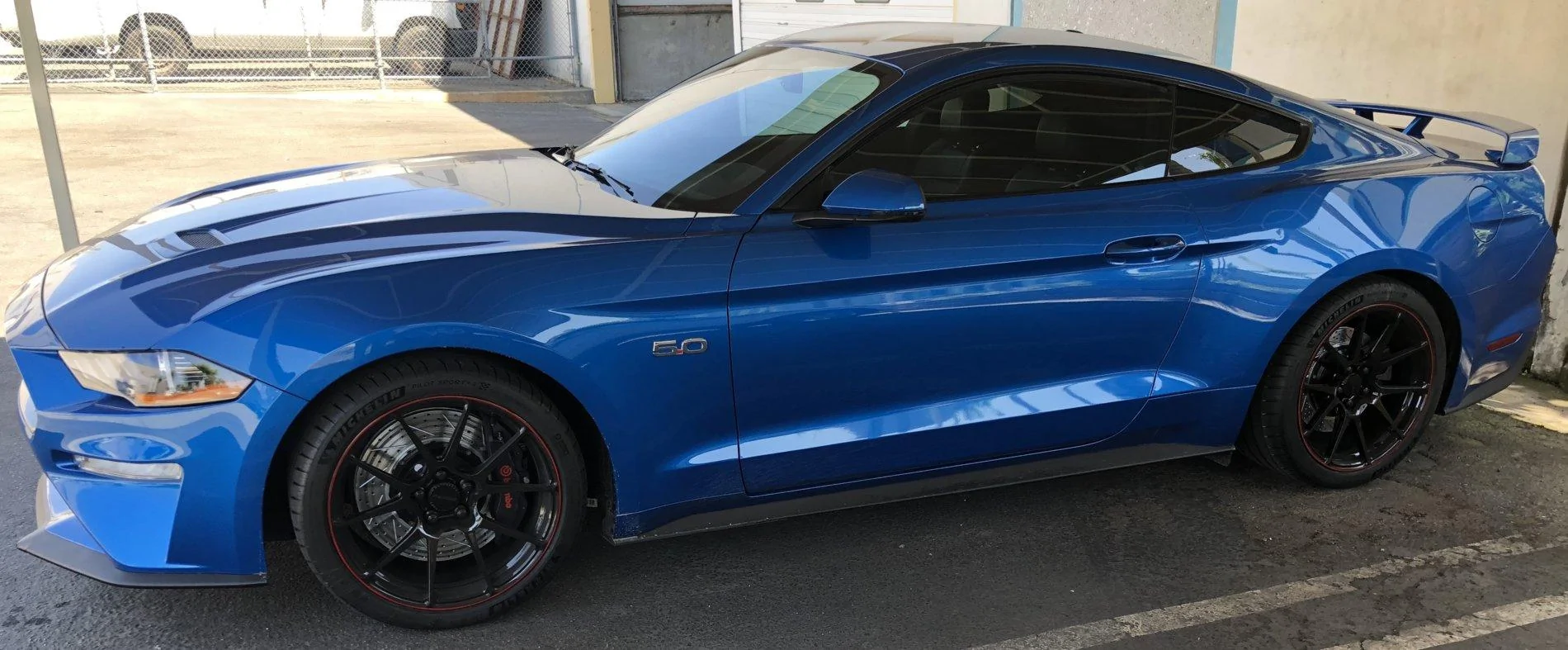 2019 GT.webp