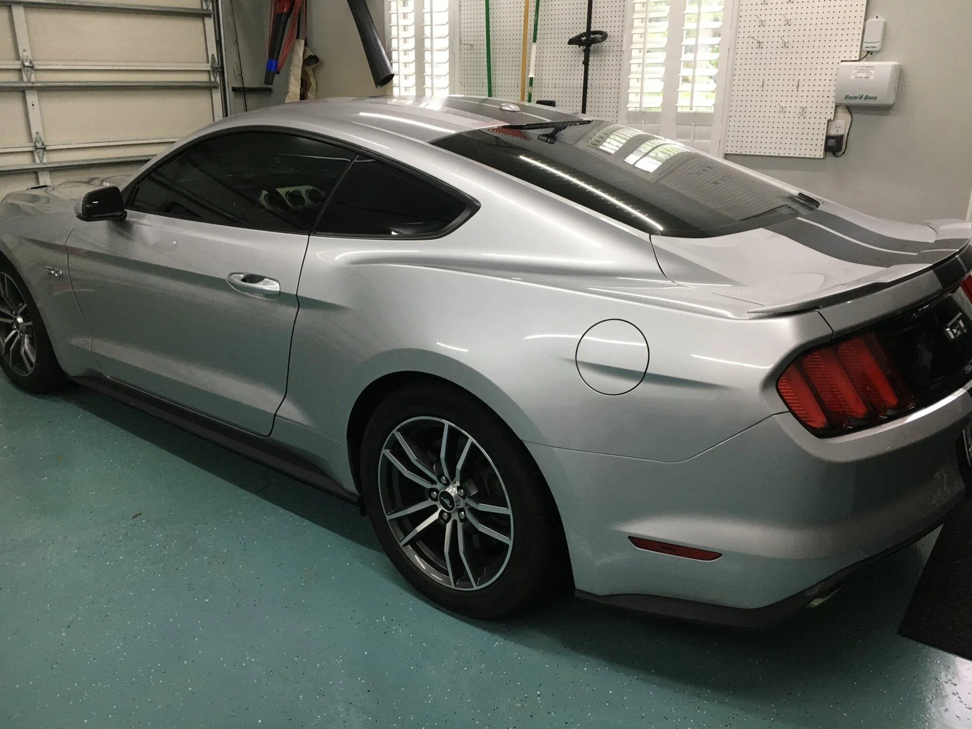 stang2.webp